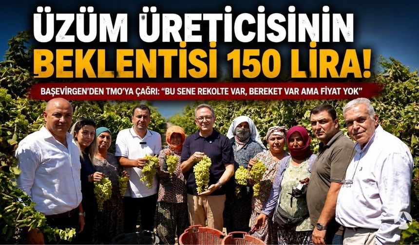 Üzüm Üreticisinden 150 Lira Çağrısı