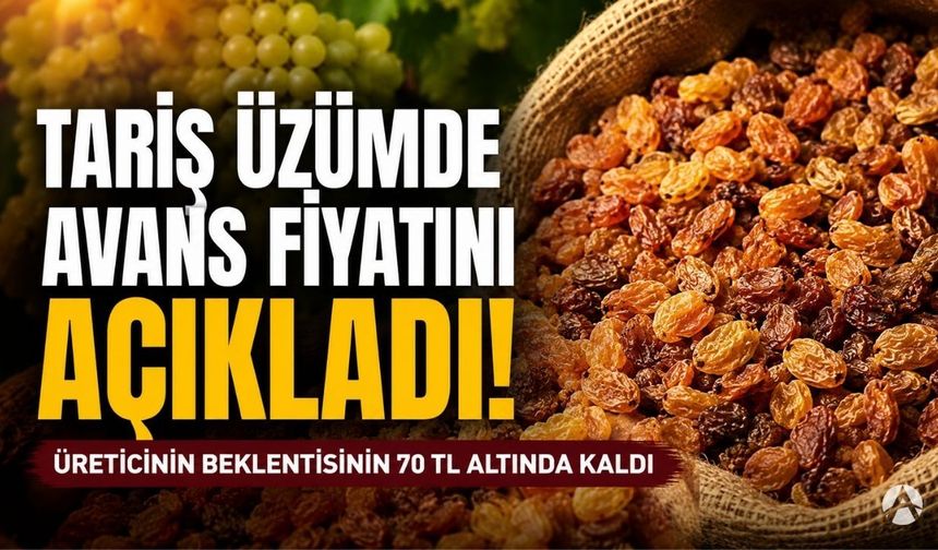 TARİŞ Kuru Üzümde Avans Fiyatını Açıkladı