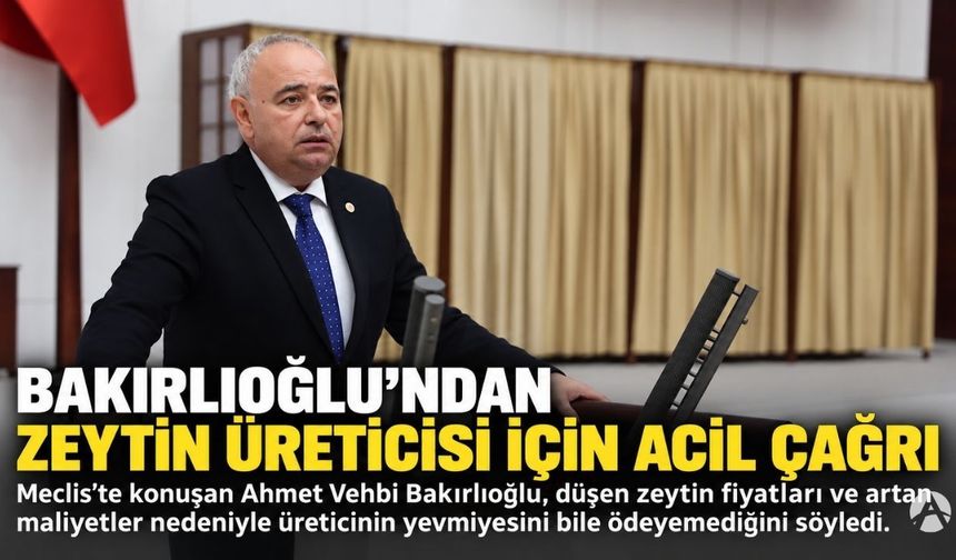 Bakırlıoğlu’ndan Zeytin Üreticileri İçin Acil Önlem Çağrısı: “Çiftçi Yevmiyesini Bile Ödeyemiyor!”