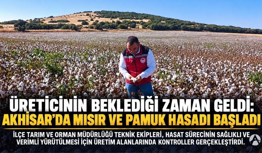 Üreticinin Beklediği Zaman Geldi: Akhisar’da Mısır ve Pamuk Hasadı Başladı