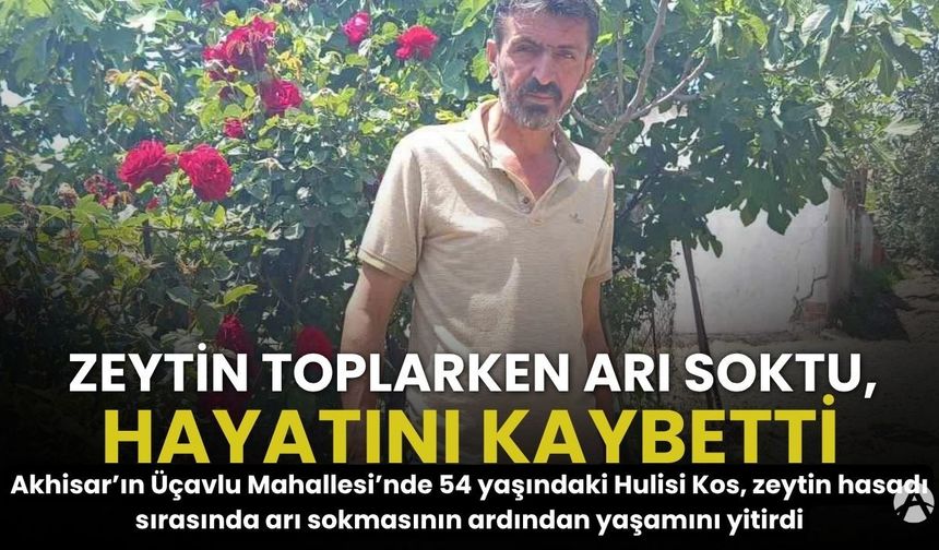 Akhisar’da Zeytin Hasadında Acı Olay: Arı Sokması Sonucu Hayatını Kaybetti
