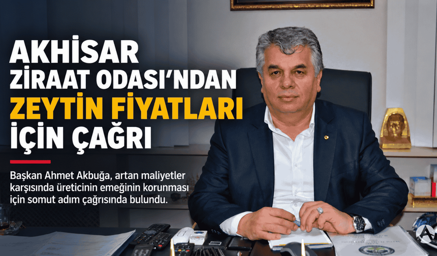 Akhisar Ziraat Odası’ndan zeytin fiyatları için çağrı
