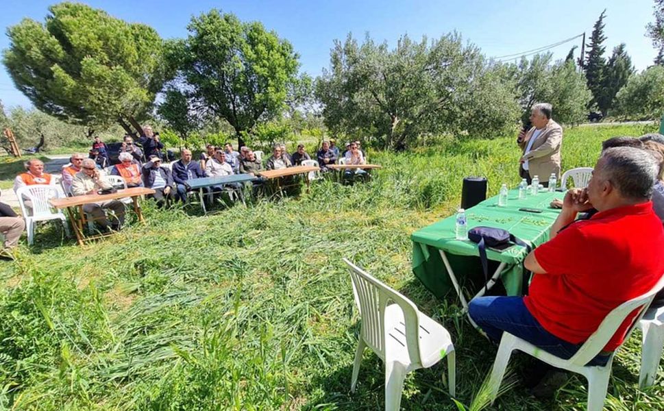 TEMA Vakfı, Zeytinliklerde yeşil gübreleme projesi devam ediyor